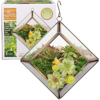 Mini Diamond Glass Terrarium 13x13x9 cm for Cuttings