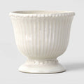 Ivory Beaded Ceramic Plant Pot with Textured Rim