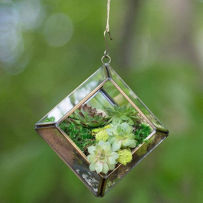 Mini Diamond Glass Terrarium 13x13x9 cm for Cuttings