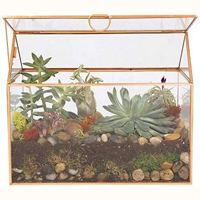Gold Geometric Glass Terrarium 25x15x20 cm Tabletop